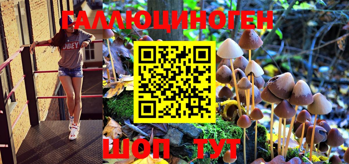 Псилоцибиновые грибы MAGIC MUSHROOMS  Вход с VPN  Лосино-Петровский 