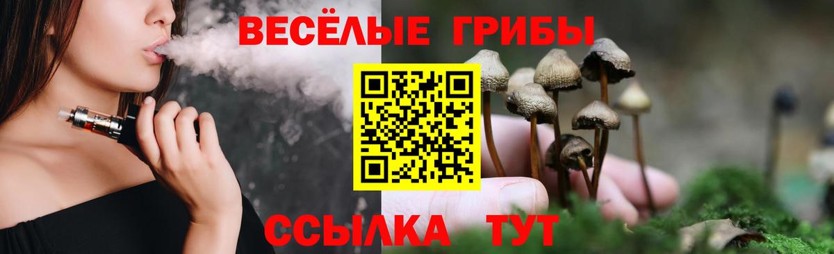Бошки Шишки Лосино-Петровский